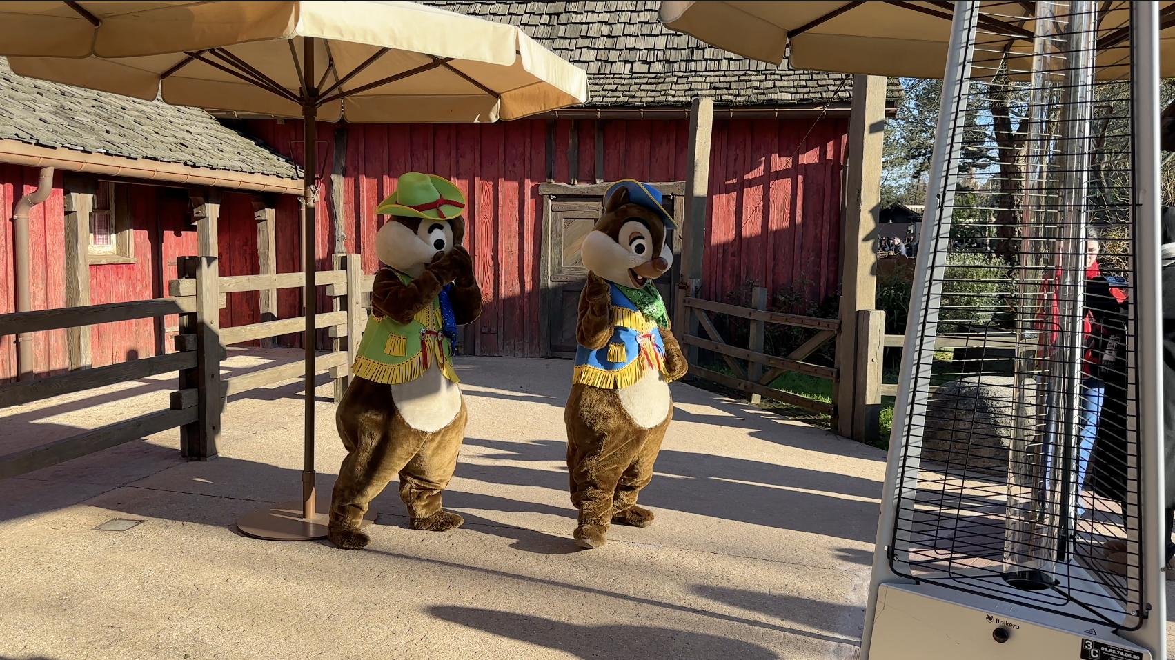 Chip & Dale
